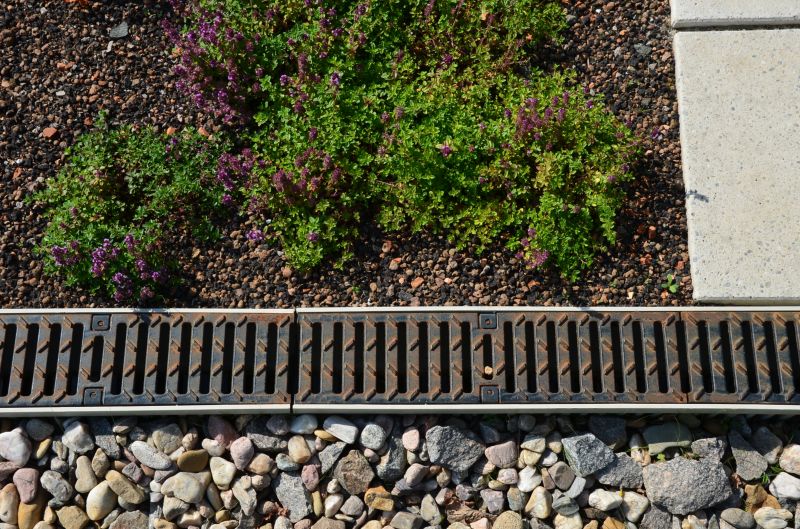 Common Causes Of Household Drainage Problems