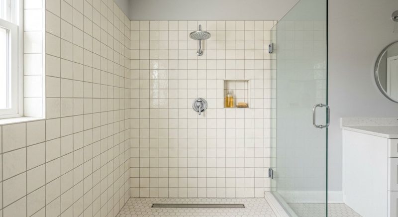 Showerhead Repair in Denver, CO