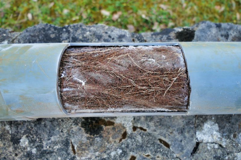 Prevention of Further Damage
